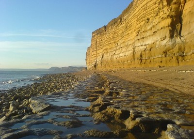 Dorset's Jurassic Coast photographed by Driftwood Fish Weymouth